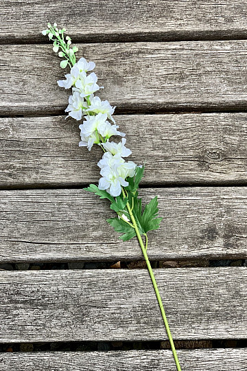 Delphinium weiß 79 cm
