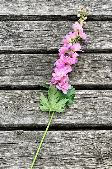 Delphinium rosa 79 cm