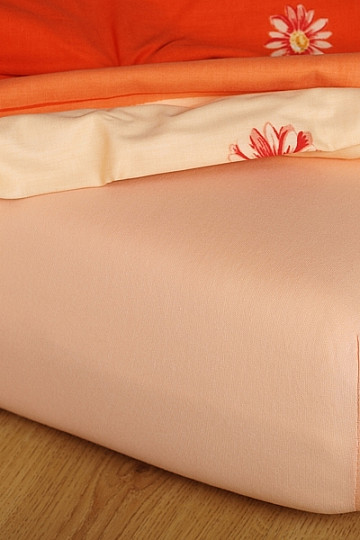Farbblatt Jersey Apricot
