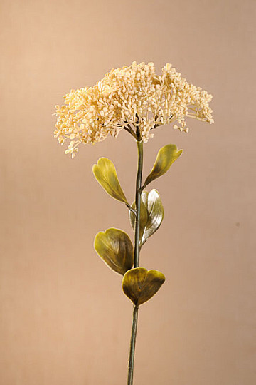 TROCKENES VOLLBLÜTE-SEDUM 46 cm weiß