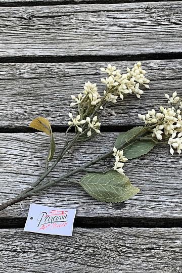 TROCKENES VIBURNUM TINUS 58 cm weiß