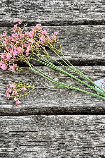 GYPSOFILA rosa