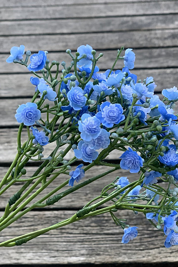 Gipsspray blau