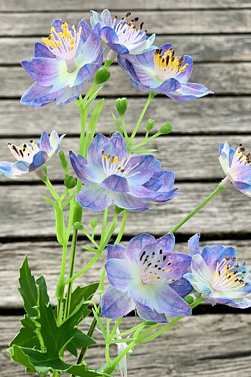 BLAUE WILDBLUME