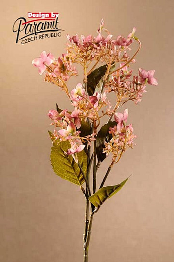 WILDE HORTENSIE ROSA