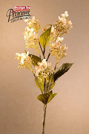 WILDE HORTENSIEN CREME