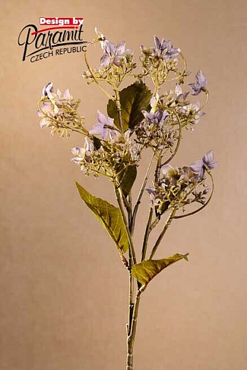 WILDE HORTENSIE BLAU