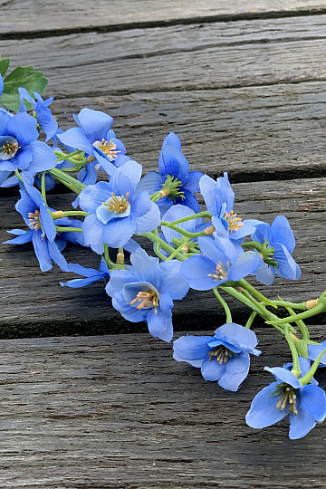 DELPHINIUM BLUE