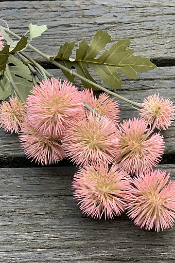 DRY PLASTIC POMPOM ROSA