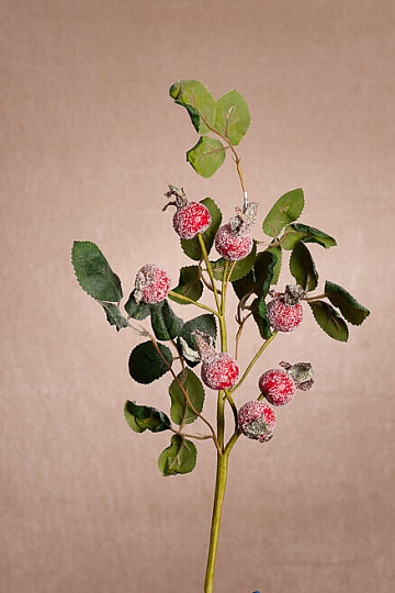 SCHNEEBEDECKTE PFEILE