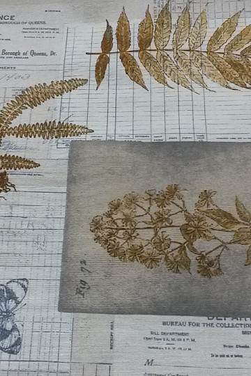 Dekorationsstoff HERBARIUM braun