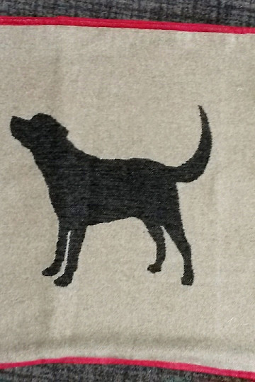 Bezug DF für Hunde LABRADOR beige
