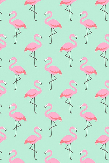 Baumwollstoff FLAMINGO türkis
