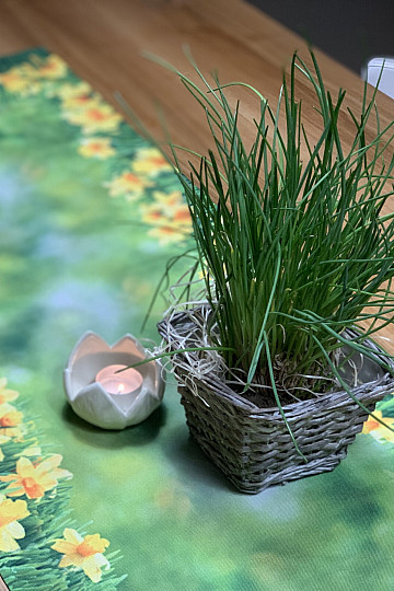 Tischdecken und Schals NARCISY