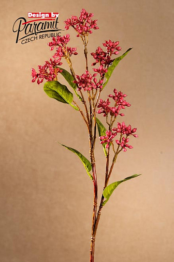 Japanische Burgunderbeeren 63 cm