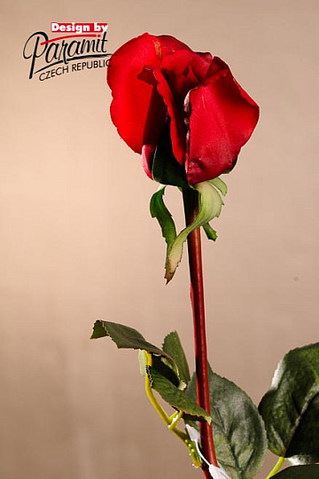 Rosenknospe rot 70 cm