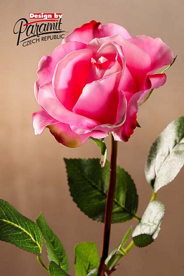 Hellrosa Rose 67 cm