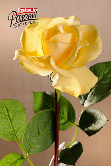 Gelbe Rose 67 cm