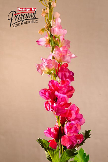 Delphinium weinrot 79 cm