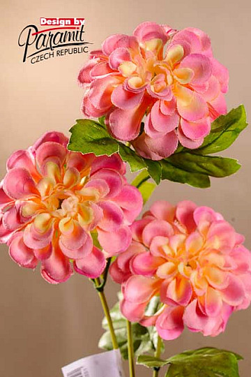 Dahlie rosa-gelb 56 cm