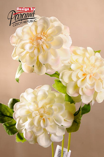 Creme-Dahlie 56 cm