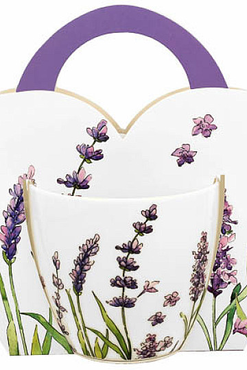 Lavendel E Porzellantasse