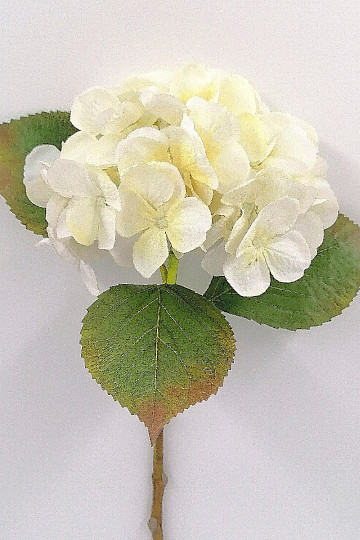 Weiße Hortensie 48 cm