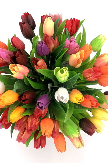 Tulpen mischen Farben