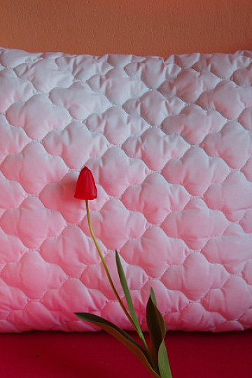 Steppkissen - Kugeln - 70x90 cm ohne Reißverschluss