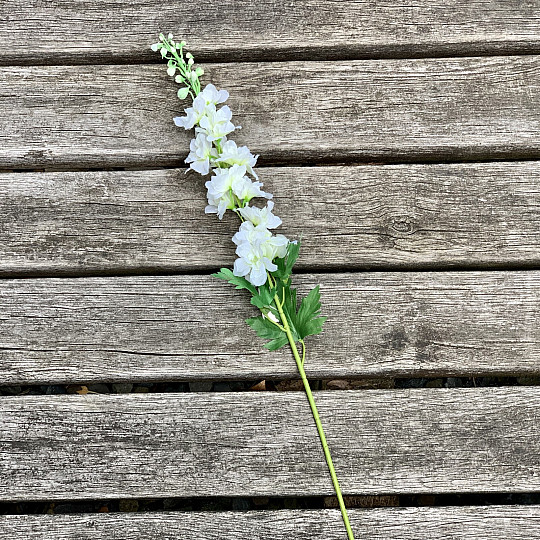 Delphinium weiß 79 cm