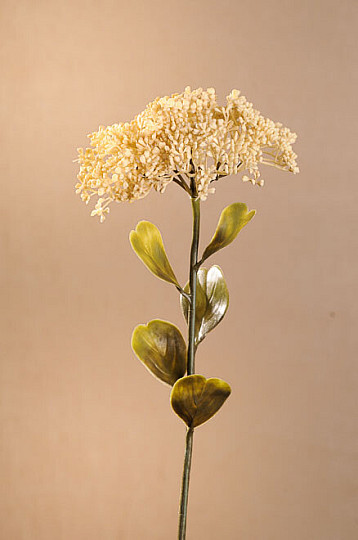 TROCKENES VOLLBLÜTE-SEDUM 46 cm weiß