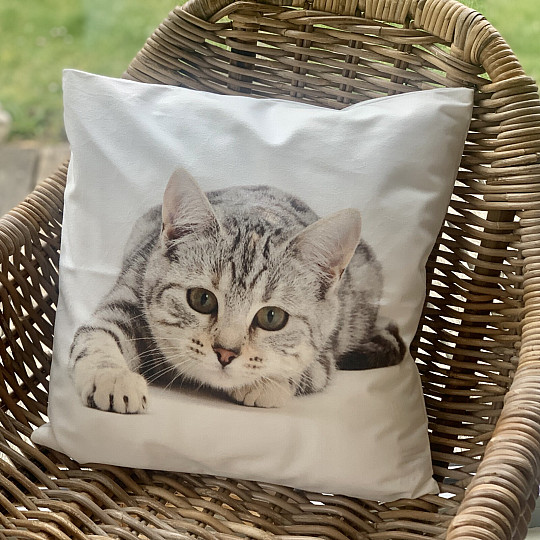 Dekorativer Kissenbezug LIEGENDE KATZE