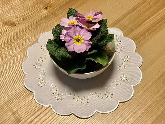 Besticktes Tischset mit weißen BLUMEN als Prägung