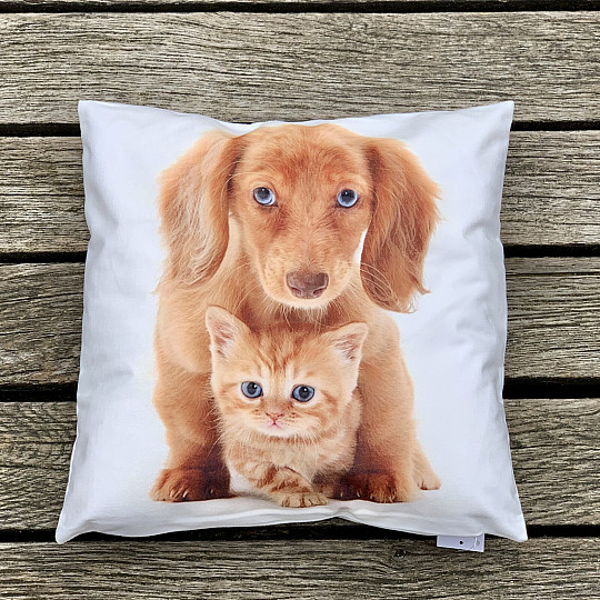 Kissenbezug HUND UND KATZE