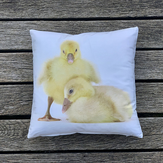 Dekorativer Kissenbezug GOOSE
