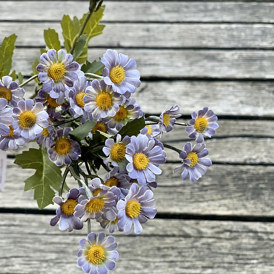 MINI DAISY BLAU