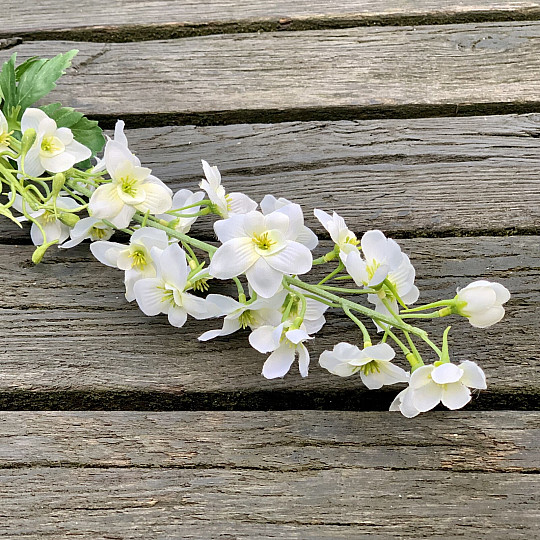 DELPHINIUM WEISS