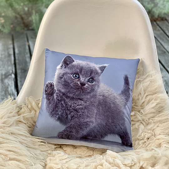Deko-Cover KITTY