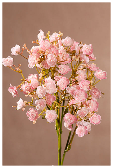 Gips-Sprühfarbe Rosa