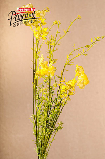 WIESENBLUMEN gelb