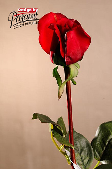 Rosenknospe rot 70 cm