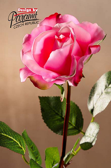 Hellrosa Rose 67 cm