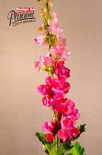 Delphinium weinrot 79 cm