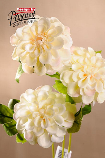Creme-Dahlie 56 cm