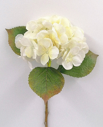 Weiße Hortensie 48 cm