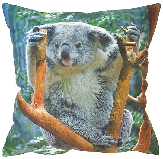 Dekorative Beschichtung KOALA