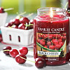 Duftkerzen YANKEE CANDLE