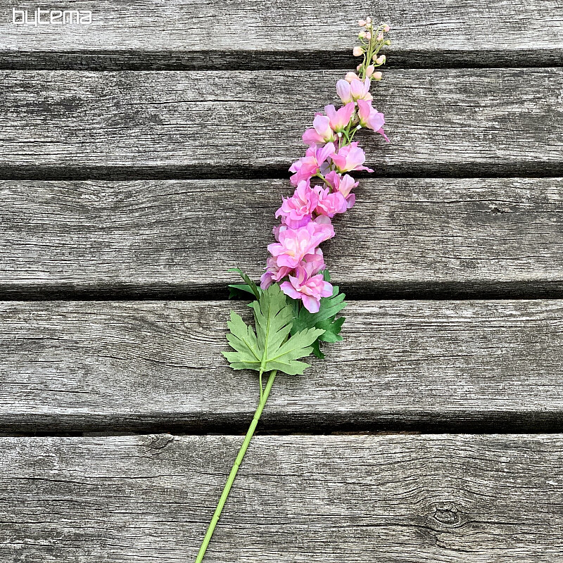 Delphinium rosa 79 cm