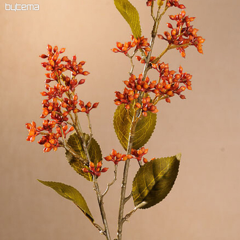 TROCKENES VIBURNUM TINUS 58 cm orange