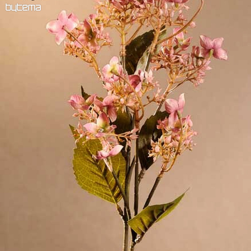 WILDE HORTENSIE ROSA